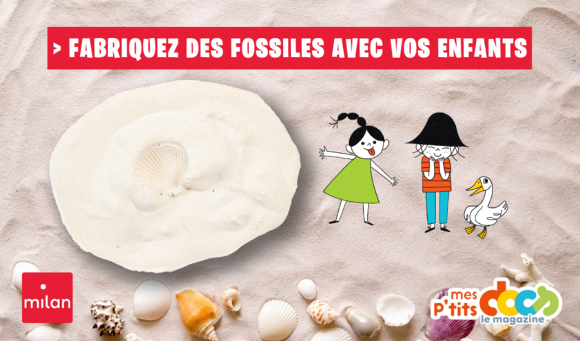 Bricolage mes ptits docs fossile coquillage
