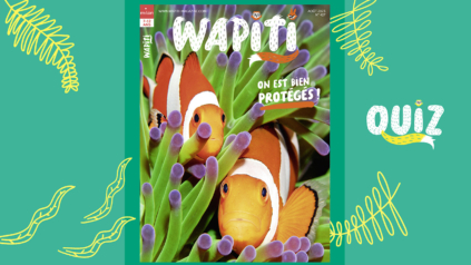 Quiz wapiti- Wapiti magazine -Wapiquiz