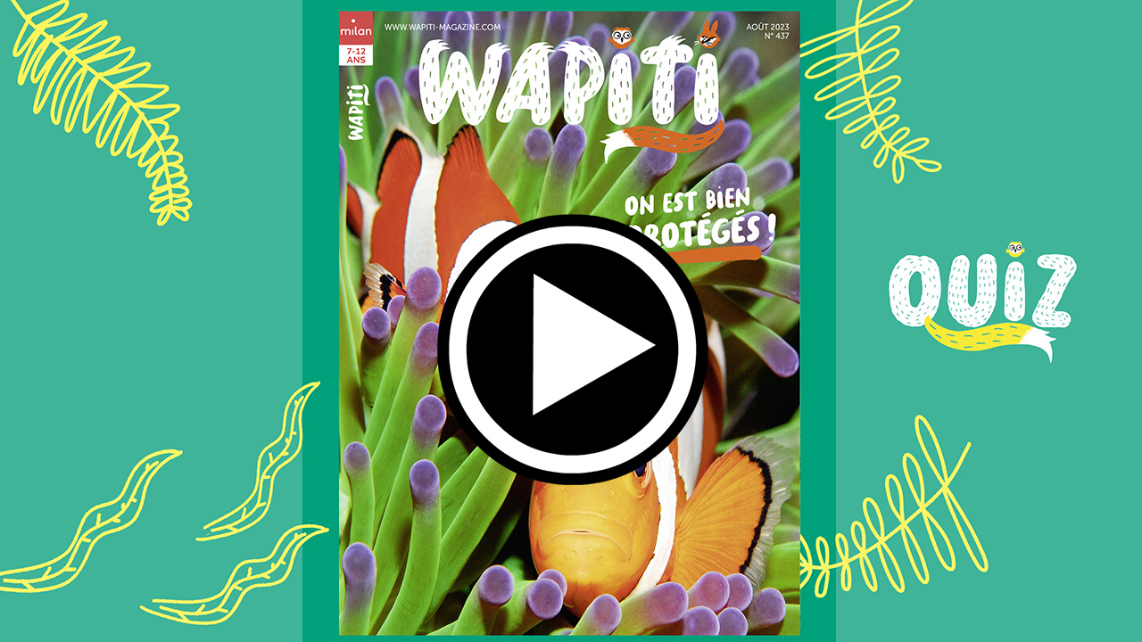 Quiz wapiti- Wapiti magazine