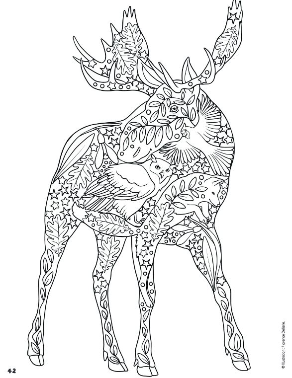 Coloriages mandalas à imprimer sur les animaux et la nature !