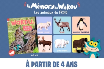 Image du jeu memory sur les animaux du grand froid de Wakou
