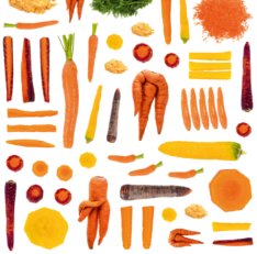 Toupie 462 mars 2024 - Concours famille carottes - Vincent Gire/Milan presse - Adobe Stock