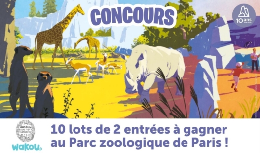 Image en avant du concours wakou