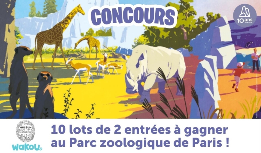 Image en avant du concours wakou