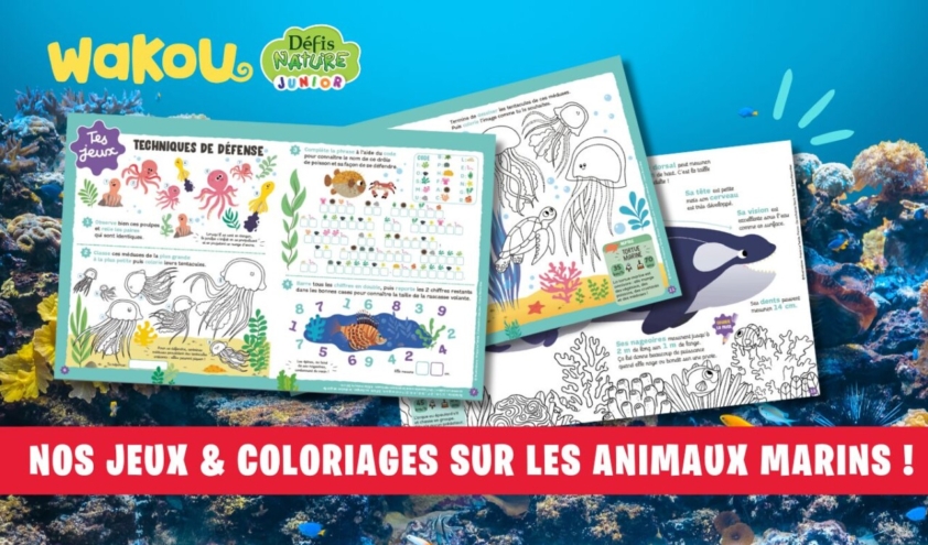 Image des jeux et coloriages animaux marins de Wakou défis nature junior