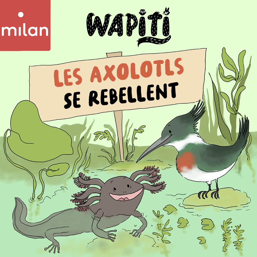 Nature se rebelle axolotls