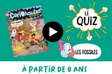 quiz fossiles