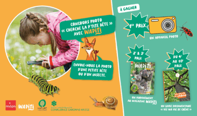 Concours photo Wapiti cherche la petite bete