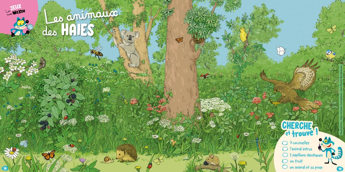 Illustration nature extraite du magazine Wakou montrant un grand jeu Cherche et trouve sur les animaux des haies, avec de nombreuses espèces à observer.