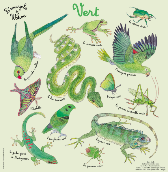 Planche illustrée de l’encyclopédie du magazine Wakou présentant différents animaux de couleur verte : reptiles, insectes et oiseaux.