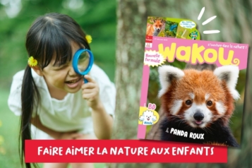 Wakou nouvelle formule