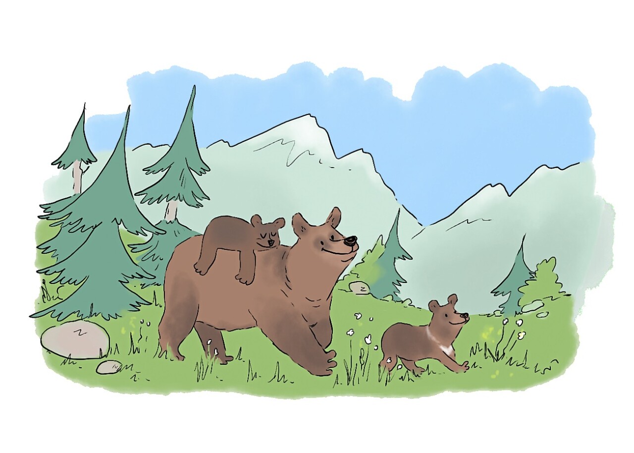 Dessin d'un paysage de montagne, avec des sapins sur les côtés et des hautes montagnes au fond. On y voit une maman ours souriante qui marche avec un ourson sur son dos qui dort. Elle est devancée par un autre ourson qui marche très content.