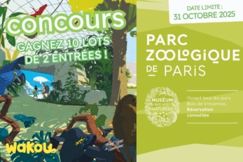 Concours wakou