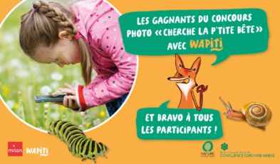 Une petite fille penchée sur son téléphone portable cherche des insectes pour les prendre en photo