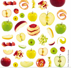 Une trentaine de photos de pommes rouges, vertes et jaunes : des pommes entières, des pommes pelées, des quartiers de pommes, des petits morceaux de pommes, des pelures de pommes, des pommes coupées en deux, des trognons de pommes