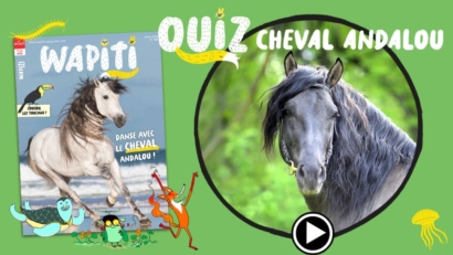 cheval andalou quiz