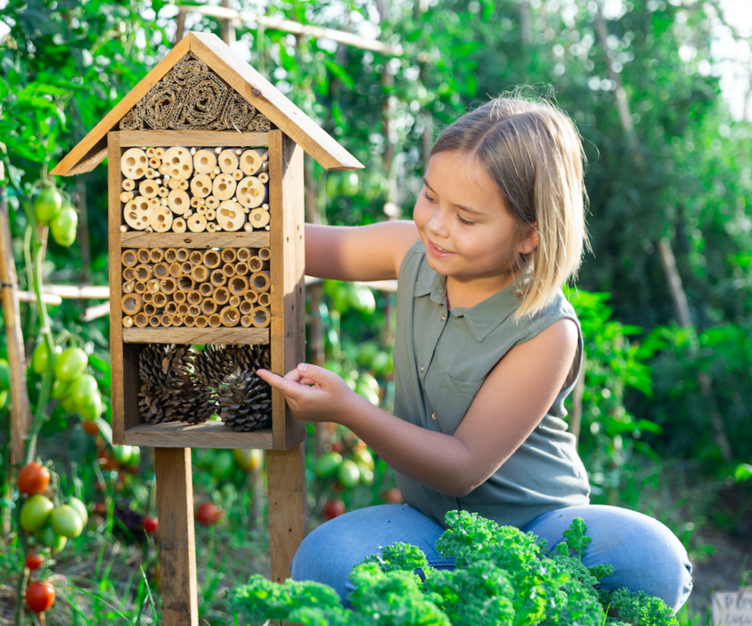activités extérieures enfants construire un hotel à insectes