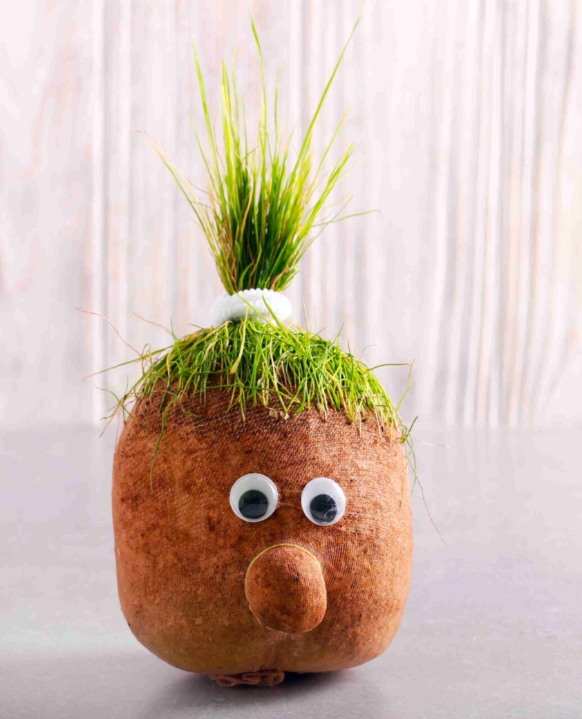 Bricolage nature enfant 3 ans fabriquer une tete a gazon