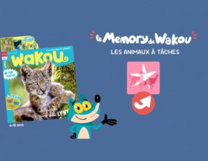 Memory des animaux à tâches