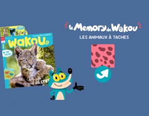 memory animaux a taches