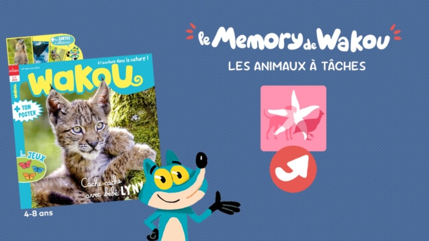 memory pour enfants animaux à tâches