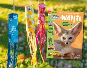 DIY koinobori wapiti DN