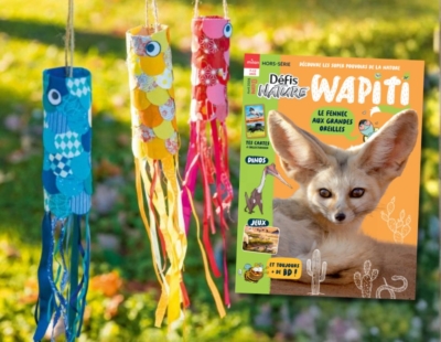 DIY koinobori wapiti DN