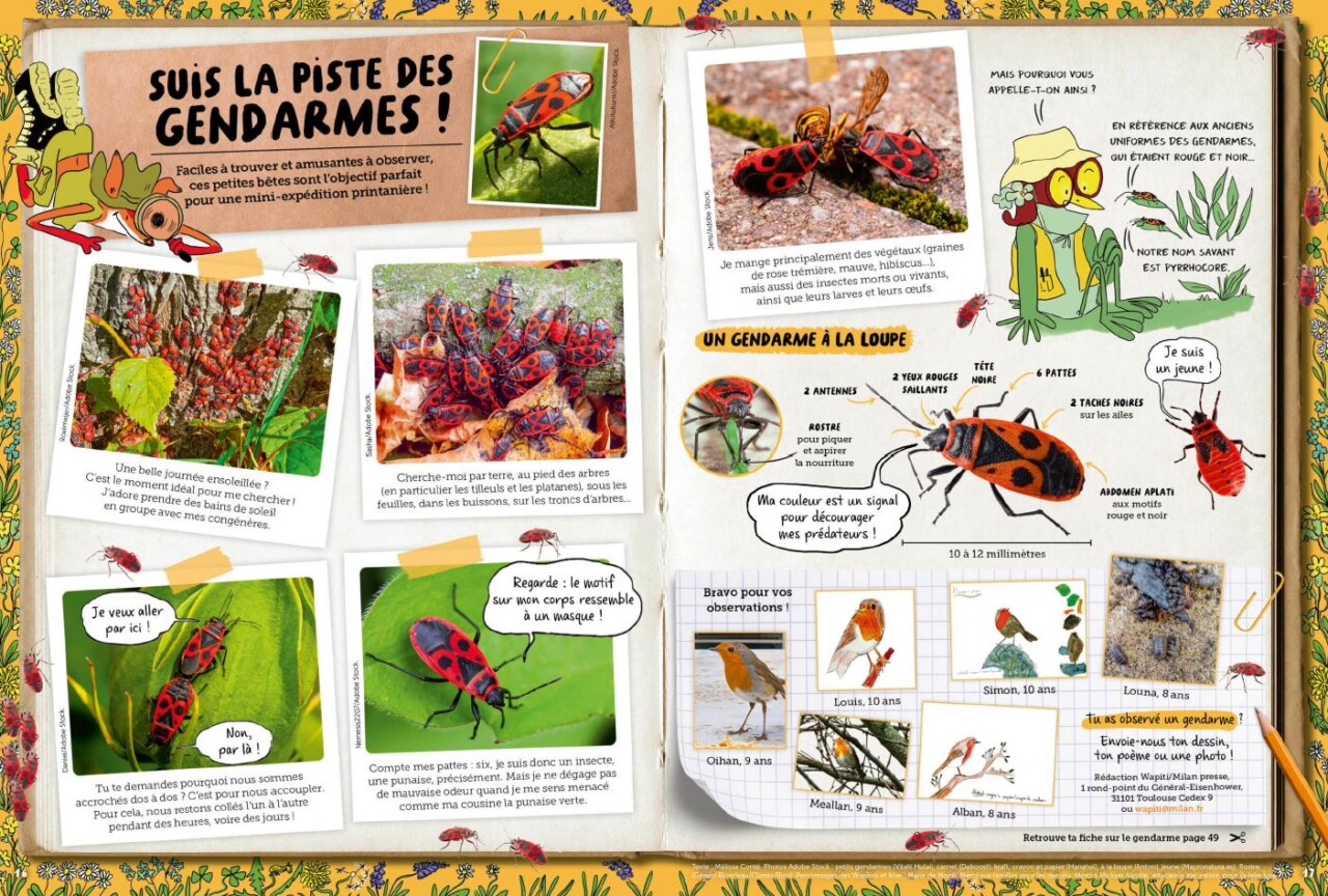 Rubrique exploration nature de Wapiti "Suis la piste des gendarmes !"