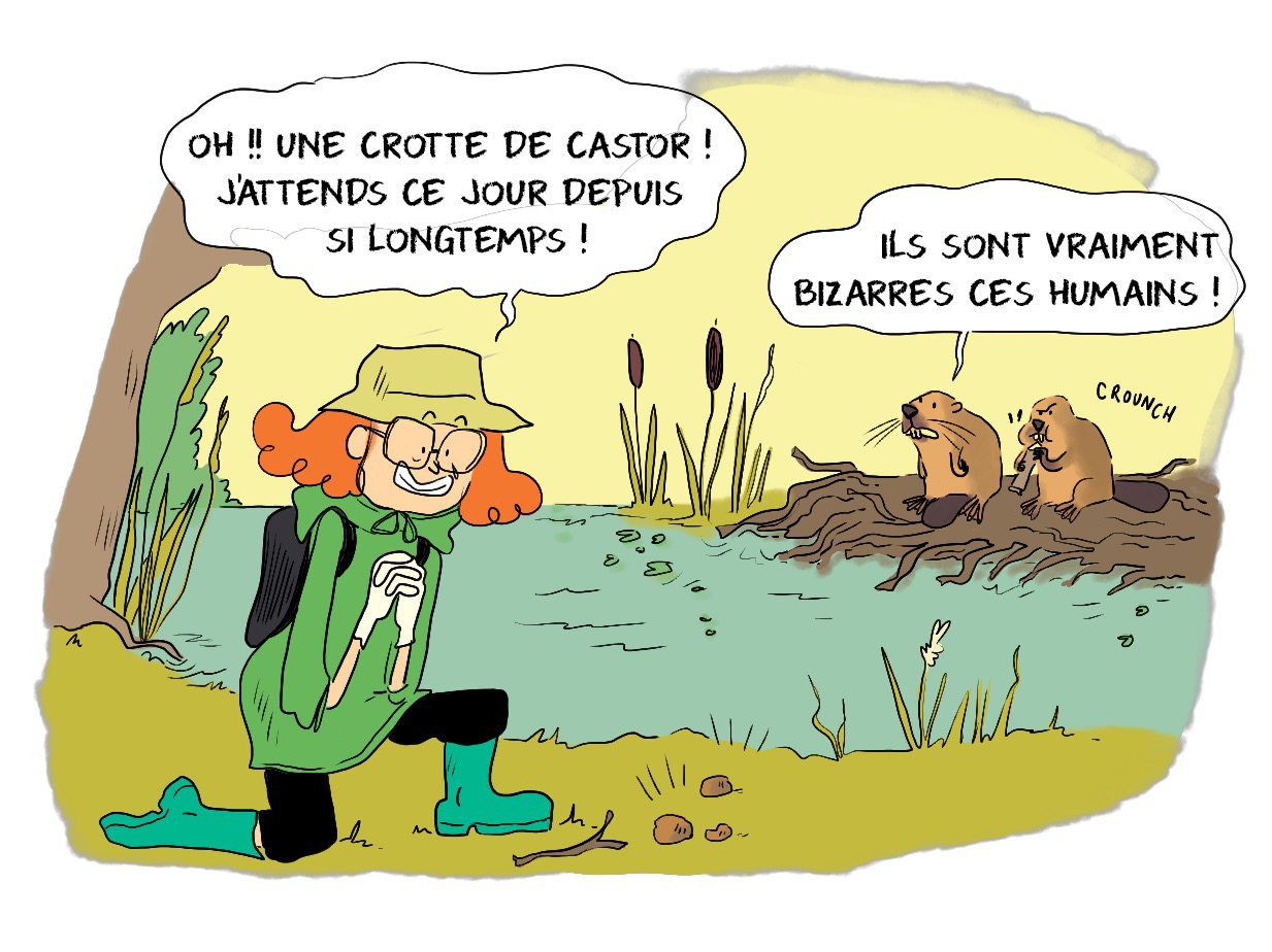 Scène d'humour dans laquelle une fillette, agenouillée, contemple heureuse des crottes de castor. Elle s'exclame: "Oh, des crottes de castor ! J'attends ce jour depuis si longtemps! ".  Derrière elle, séparés par la rivière 2 castors l'observent et disent: "ils sont vraiment bizarres ces humains" 