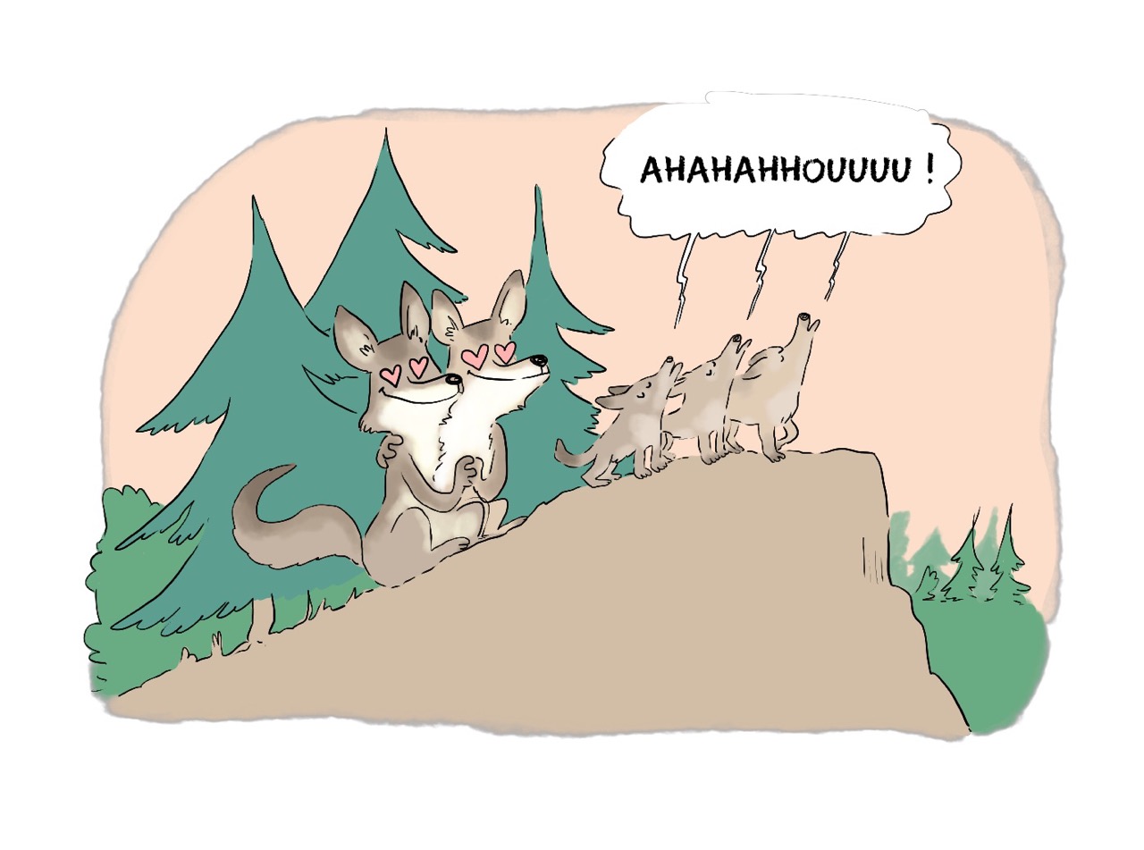 Dessin où l'on voit au bord d'une montagne trois louveteaux hurlant et derrière eux un couple de loups adultes (les parents) qui les regardent avec des coeurs à la place des yeux. 