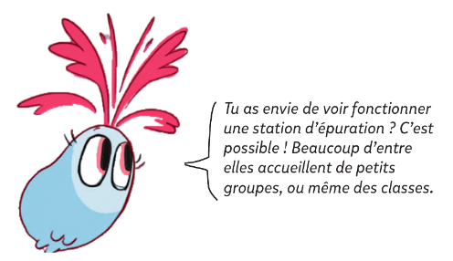 curio station épuration