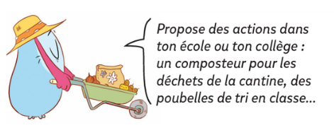 curio actions écologie
