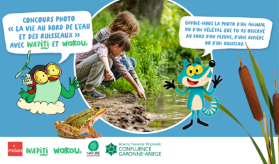 Concours photos Wapiti et Wakou 2026