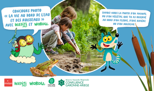 Concours photos Wapiti et Wakou 2026
