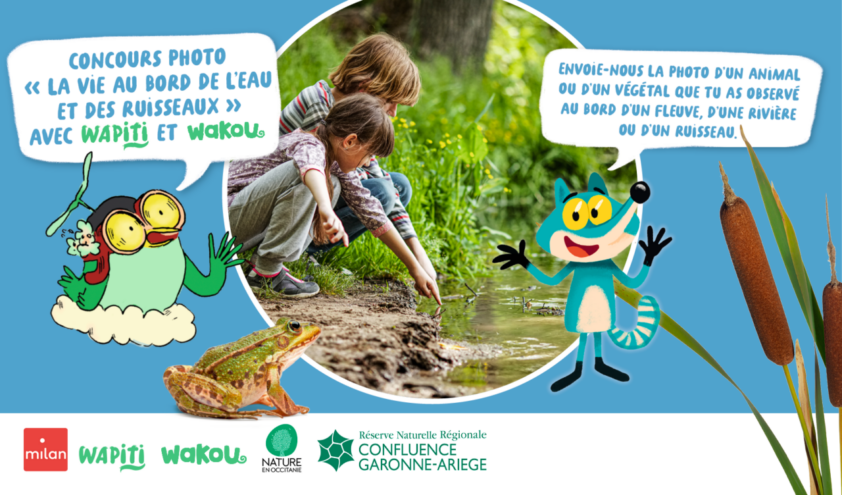 Concours photos Wapiti et Wakou 2026