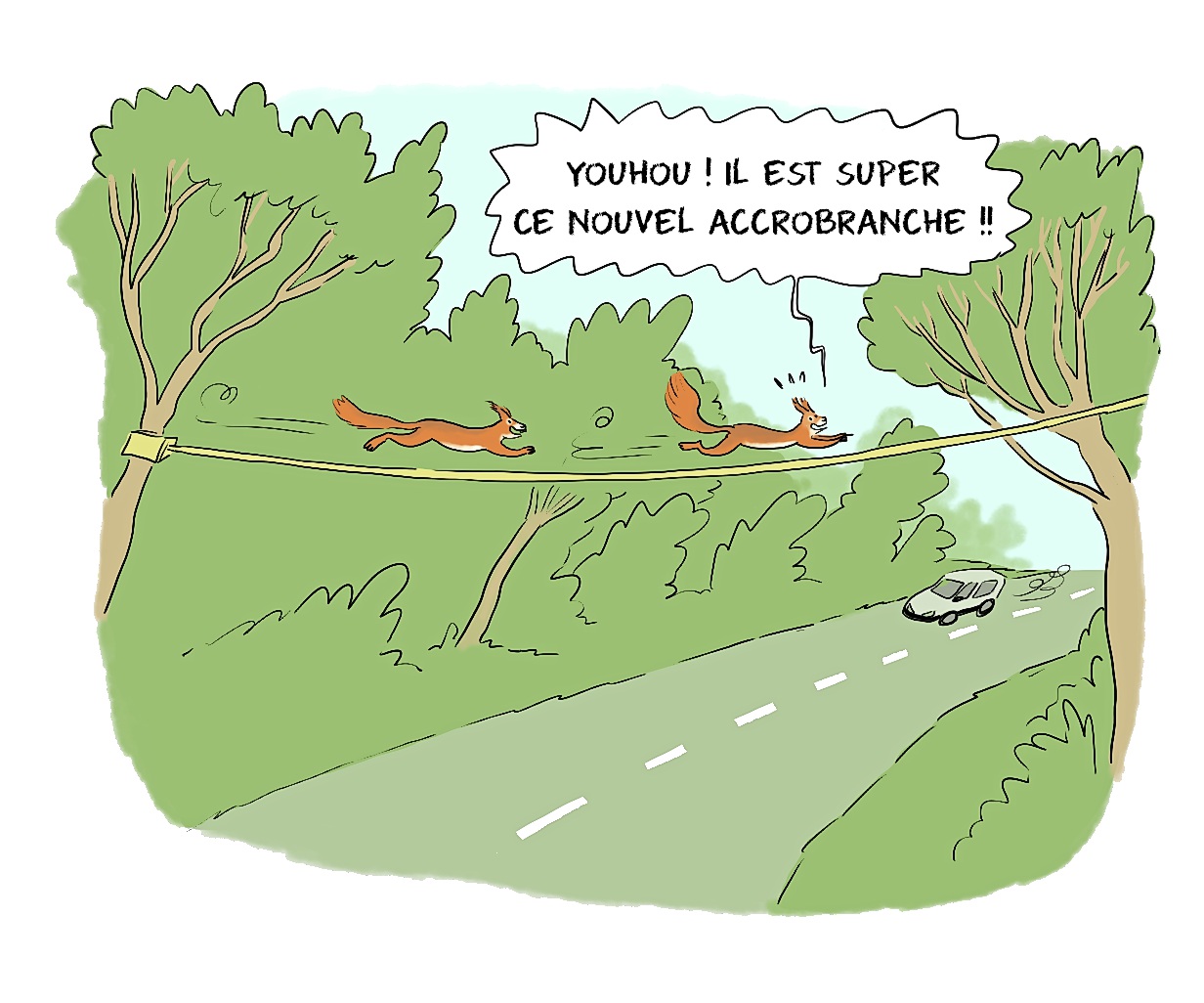 Dessin humoristique dans lequel une corde tendue surplombe la route, accroché de part et d'autre sur deux arbres. Deux écureuils roux s'amusent à y passer par la corde en disant: "Youhou ! Il est super ce nouvel accrobranche! "