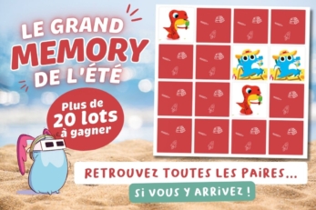 grand concours memory de l'été