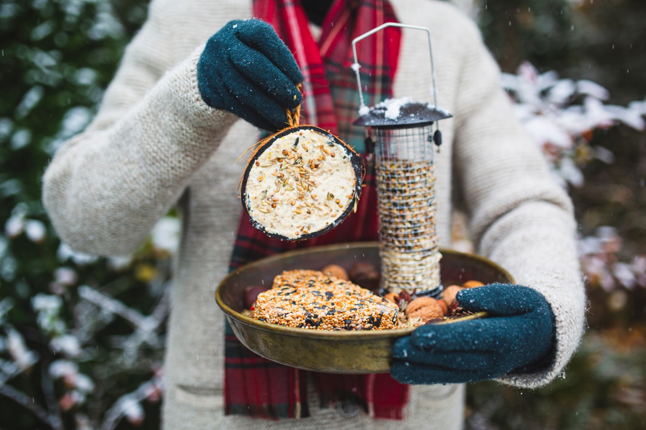 Il fait froid. Une personne tient dans ses mains engantées, un plat avec dedans, des noix, des graines, une mangeoire en tube, puis un emporte pièces remplit de graines.