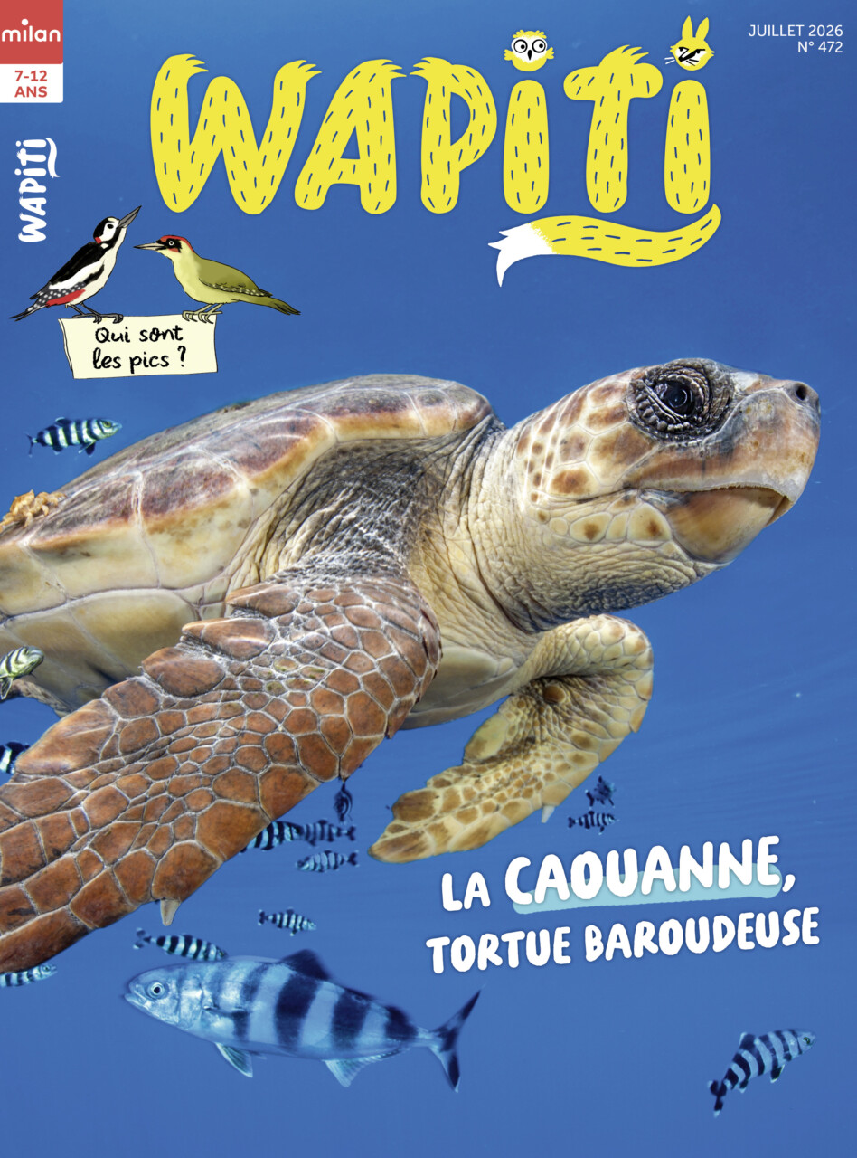 Couv Wapiti juillet 2026