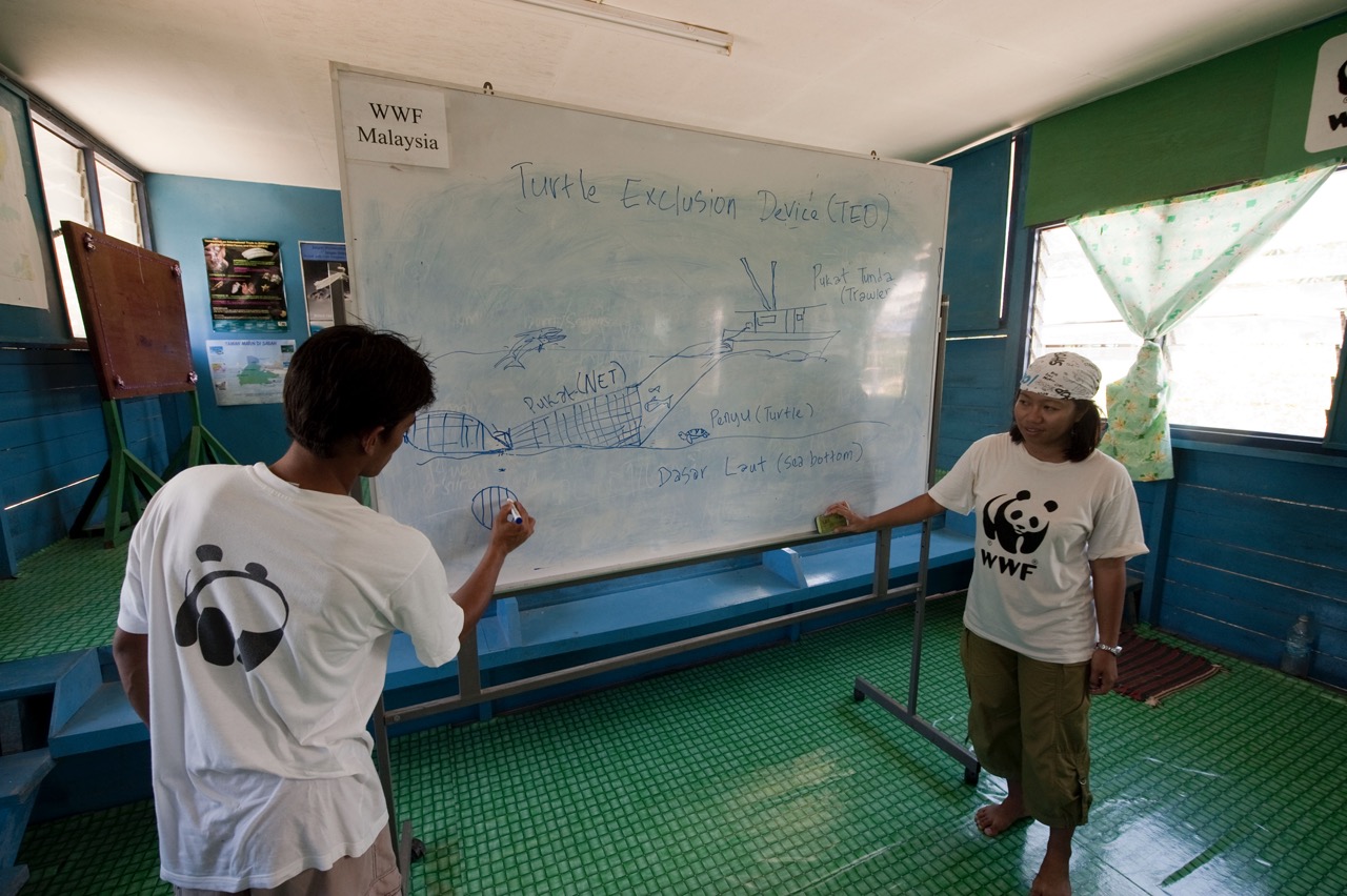 Dans une salle, deux membres du WWF dessinent sur un tableau et expliquent à des pêcheurs comment procéder pour rendre visibles les filets de pêche des bateaux. Cela se passe en Malaysie, comme signalé dans un recoin du tableau.