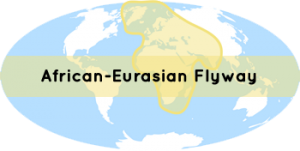 corridor Afrique-Eurasie
